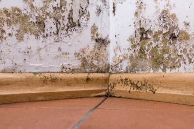 Mold and moisture damage on interior wall and floor